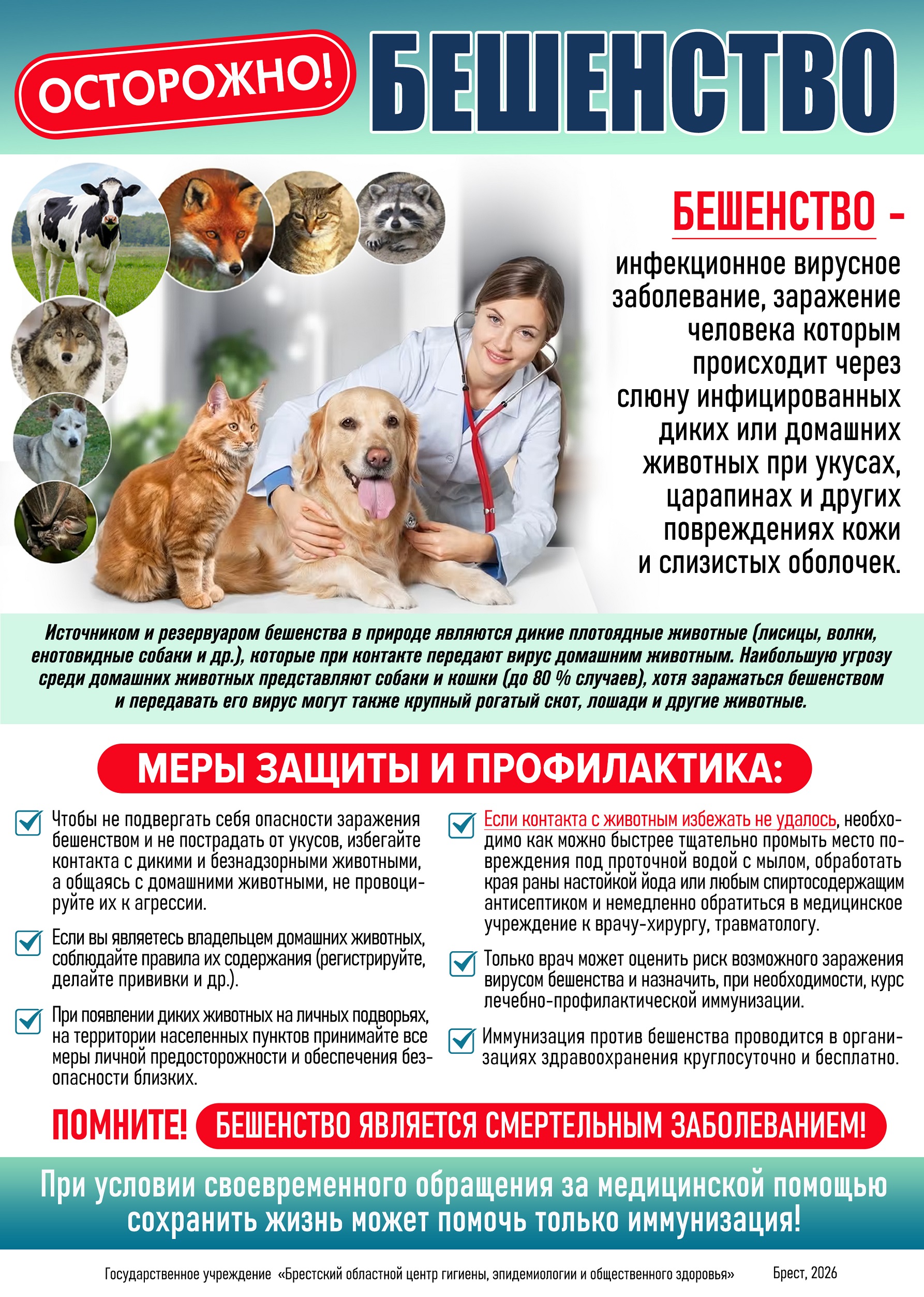 Внимание, бешенство! Основные меры защиты